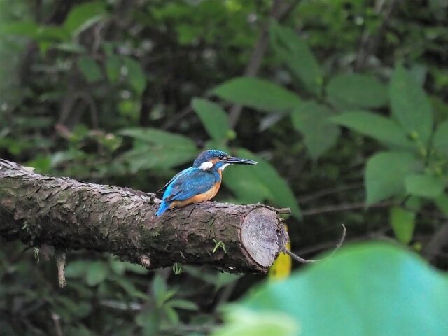 医師の診察を受ける時期